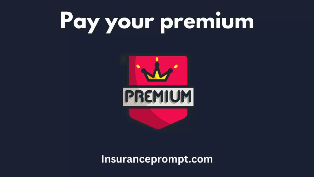 Ambetter Home State Health-pay your premium
