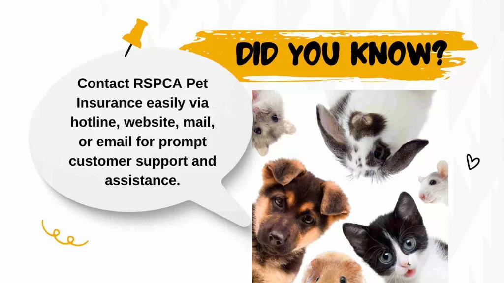 How to Contact RSPCA Pet Insurance