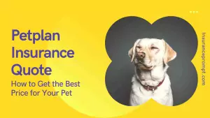Petplan Insurance Quote: How to Get the Best Price for Your Pet