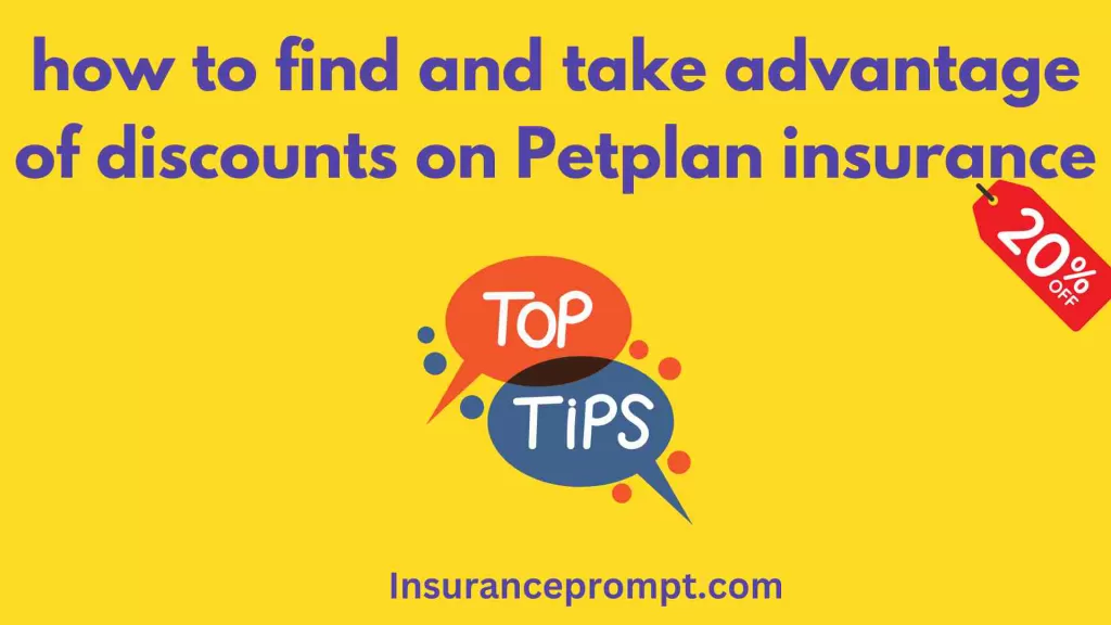 Petplan Insurance Quote-how to find and take advantage of discounts on Petplan insurance
