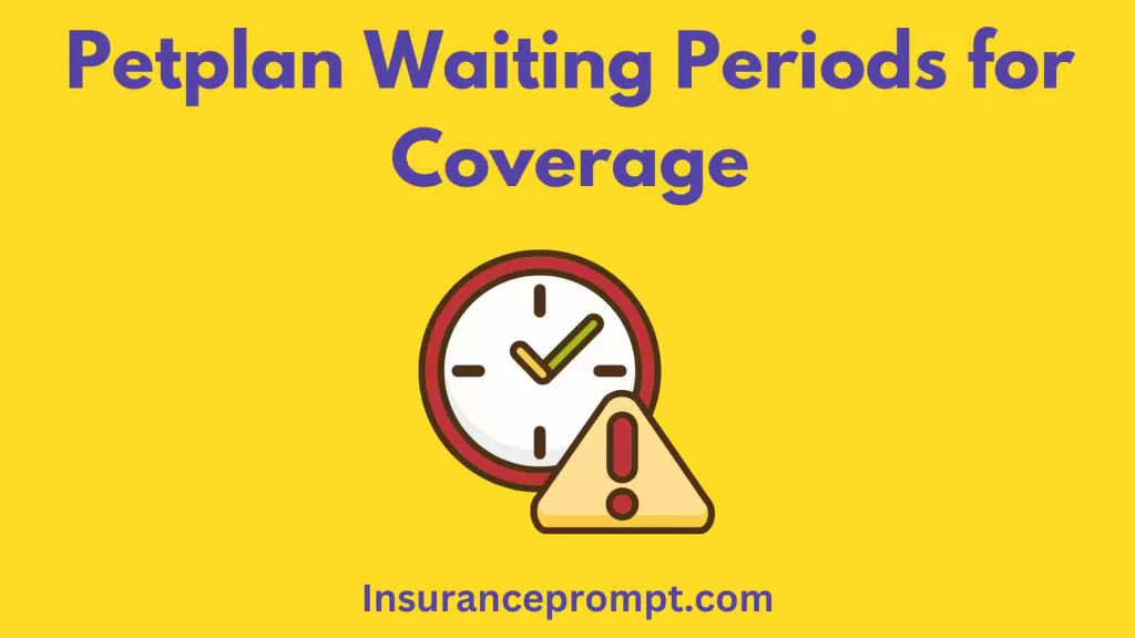Petplan Waiting Periods for Coverage