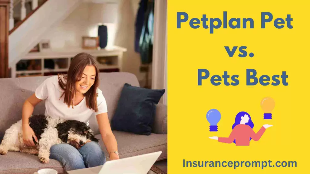Petplan Insurance Quote-Petplan Pet Insurance vs. Pets Best