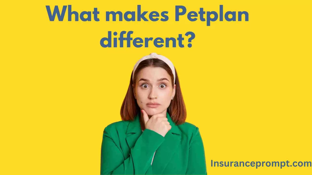 Petplan Insurance Quote-What makes Petplan different?