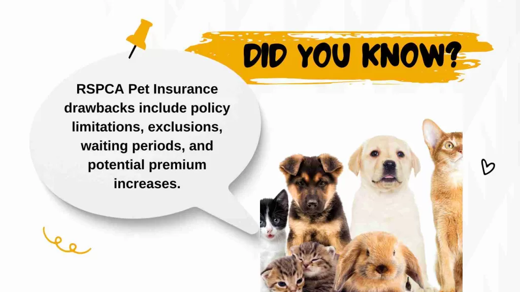 RSPCA Pet Insurance Drawbacks