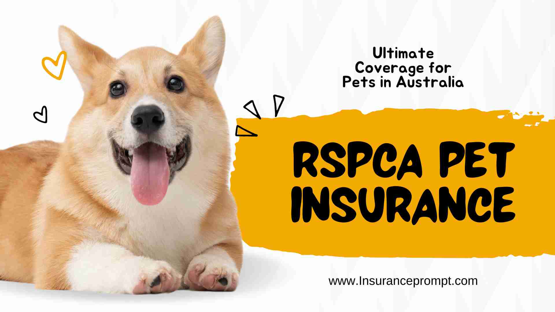RSPCA Pet Insurance Ultimate Coverage for pets in Australia