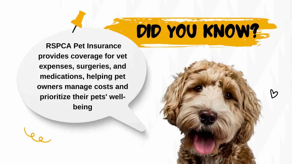 What is RSPCA Pet Insurance