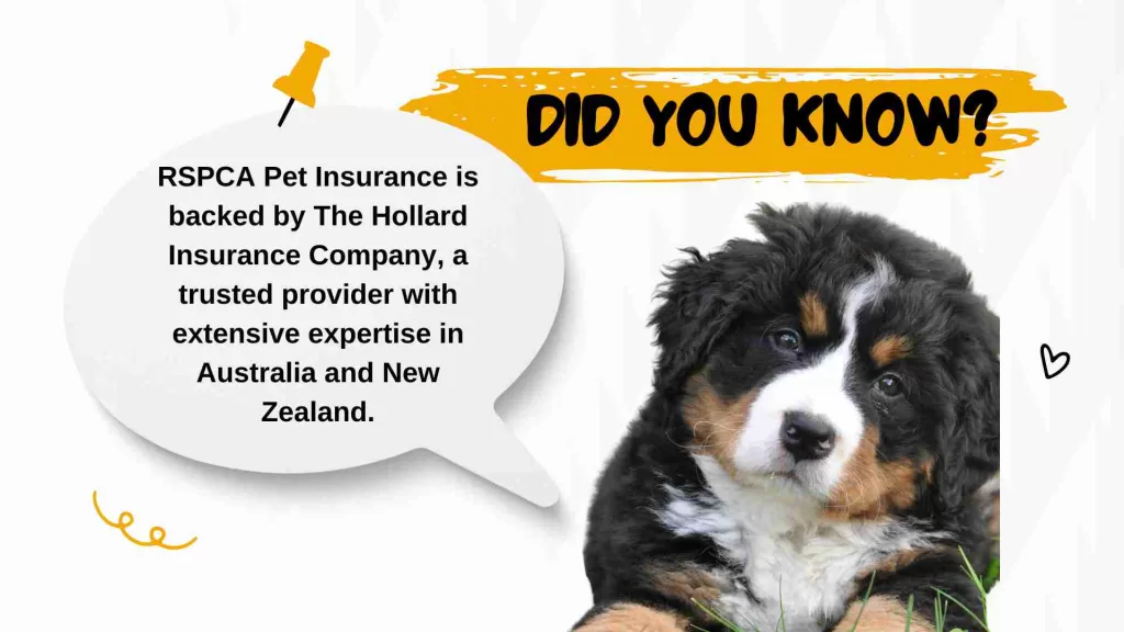 Who Is the Insurance Provider for RSPCA Pet Policies
