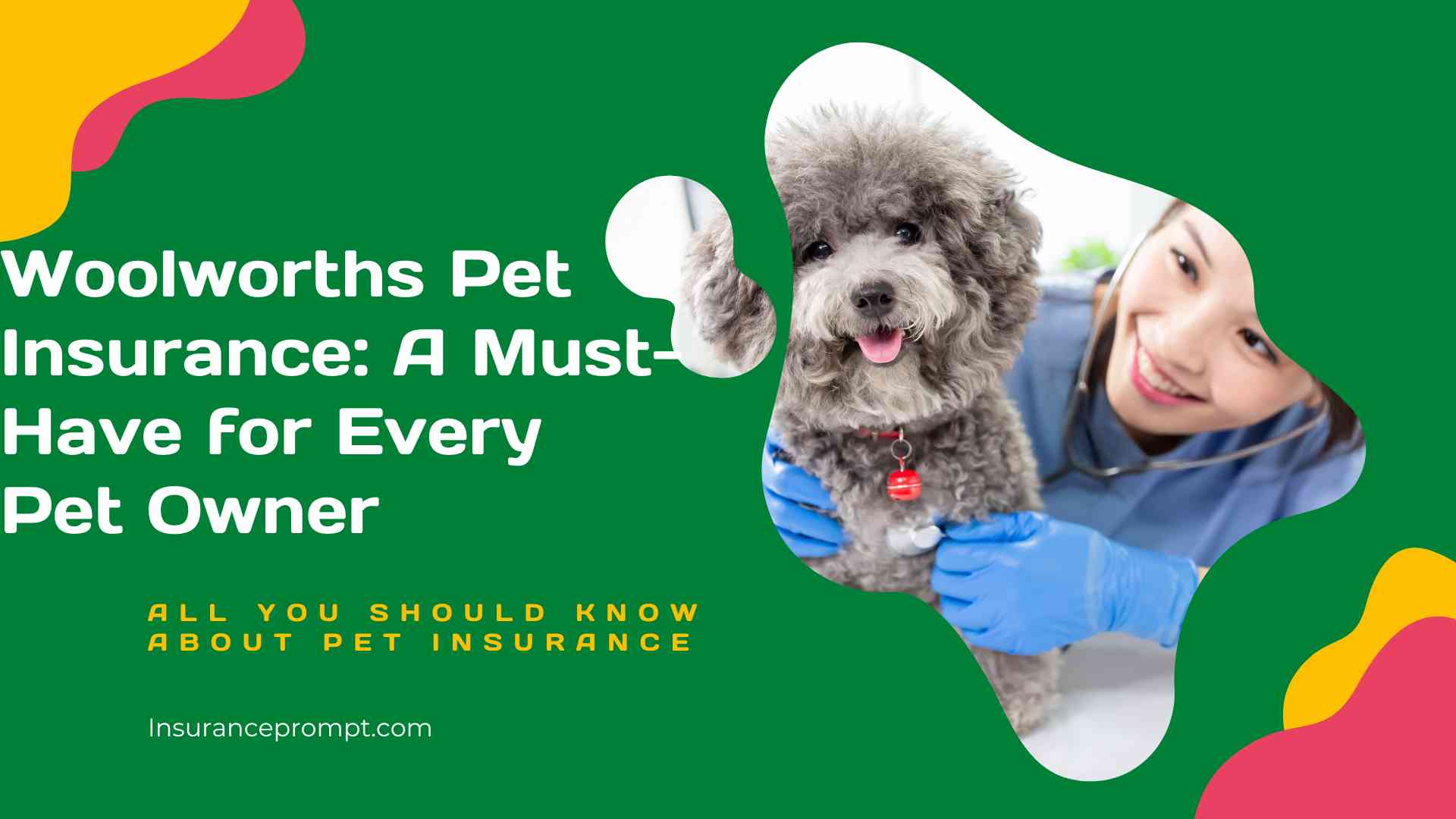 Woolworths Pet Insurance: A Must-Have for Pet Owner(2023)
