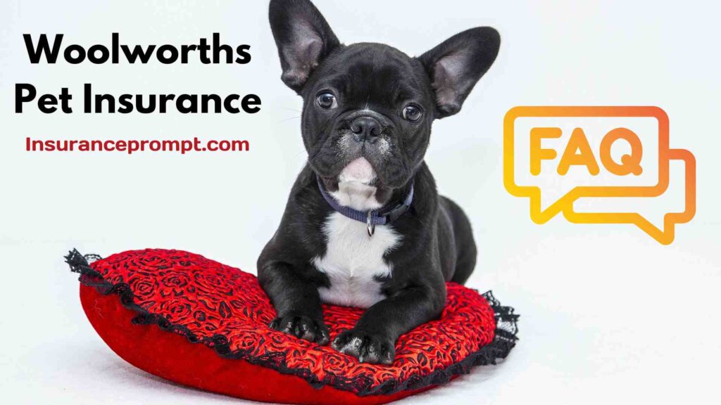 Woolworths Pet Insurance-FAQ