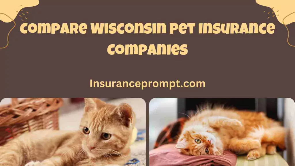 Pet Insurance Wisconsin-
Compare-Wisconsin-Pet-Insurance-Companies