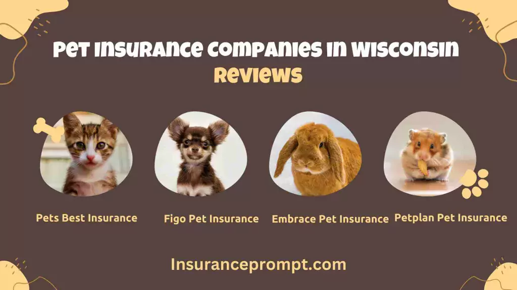 Pet Insurance Wisconsin-Pet-Insurance-Companies-in-Wisconsin-Reviews