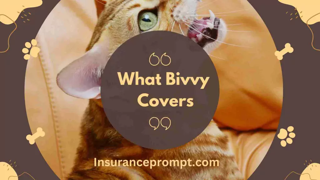 Pet Insurance Wisconsin-What-Bivvy-Covers