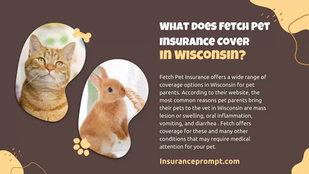 Pet Insurance Wisconsin-Pet-What-Does-Fetch-Pet-Insurance-Cover-in-Wisconsin