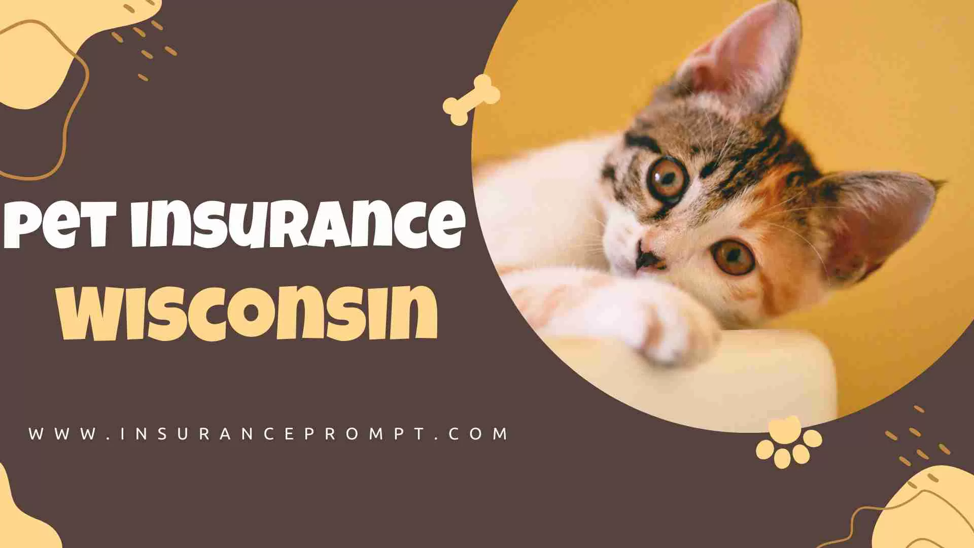 Pet Insurance Wisconsin: Ultimate Guide  2023