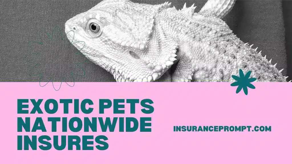 Best Exotic Pet Insurance Uk - Exotic pets Nationwide insures