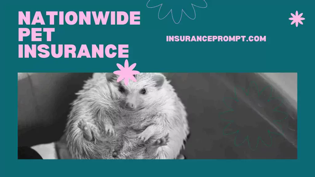 Best Exotic Pet Insurance Uk -Nationwide Pet Insurance 