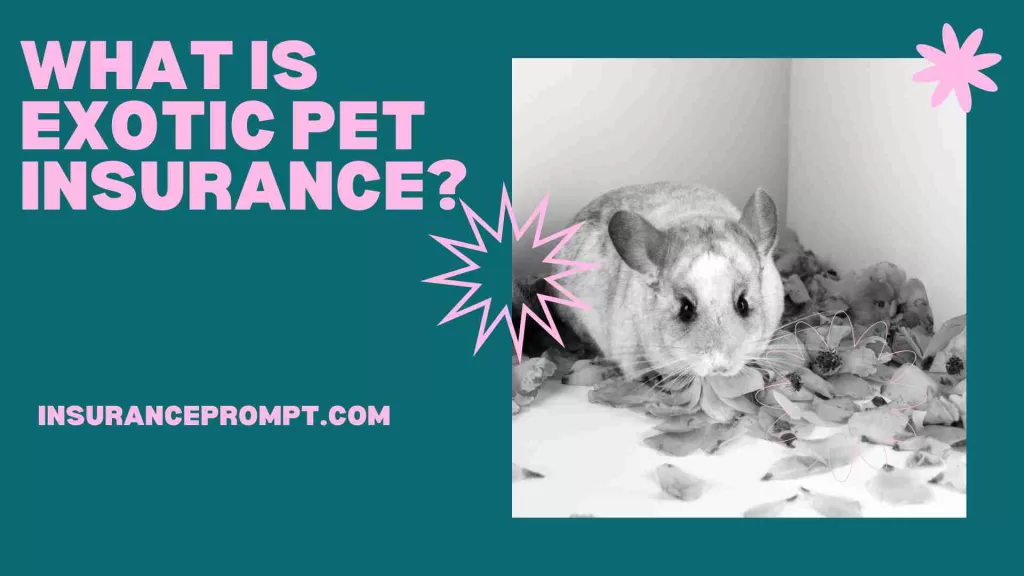 Best Exotic Pet Insurance Uk -What is exotic pet insurance 
