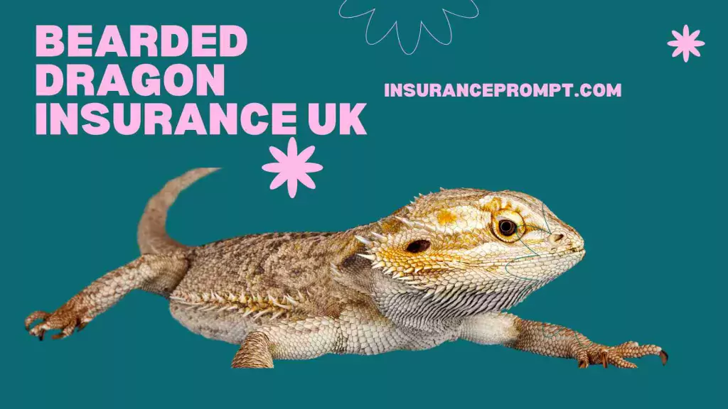 Best Exotic Pet Insurance Uk -bearded dragon insurance uk