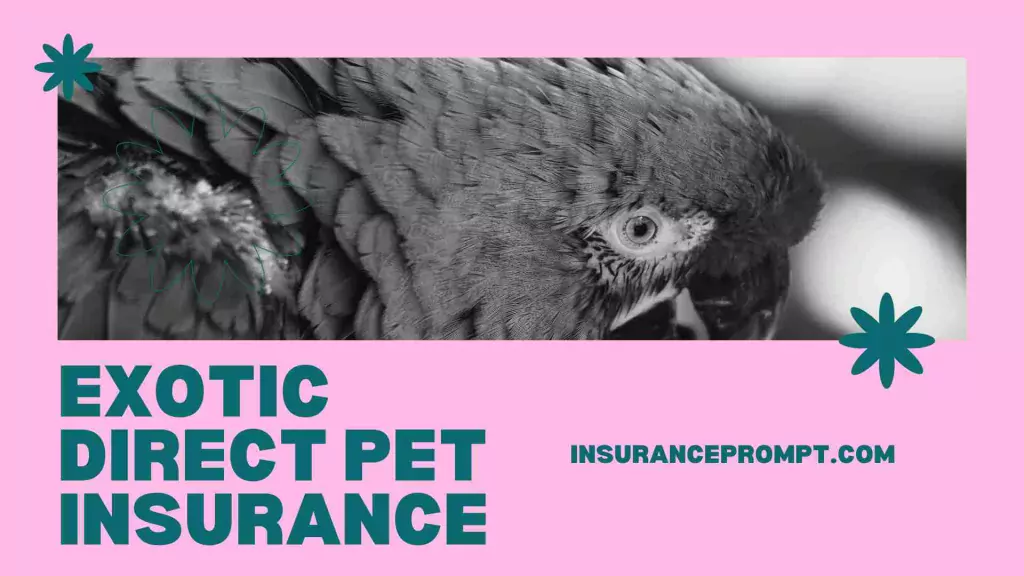 Best Exotic Pet Insurance Uk -exotic direct pet insurance