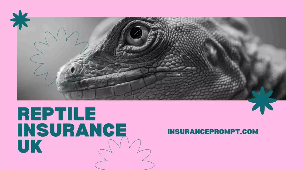 Best Exotic Pet Insurance Uk - reptile insurance uk