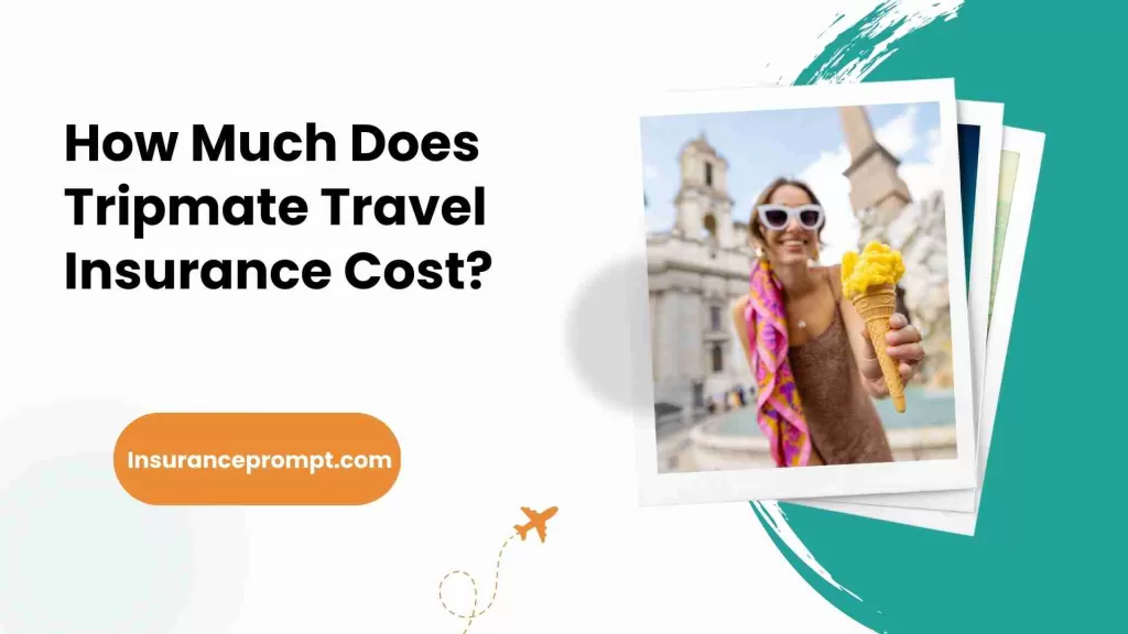 How Much Does Tripmate Travel Insurance Cost