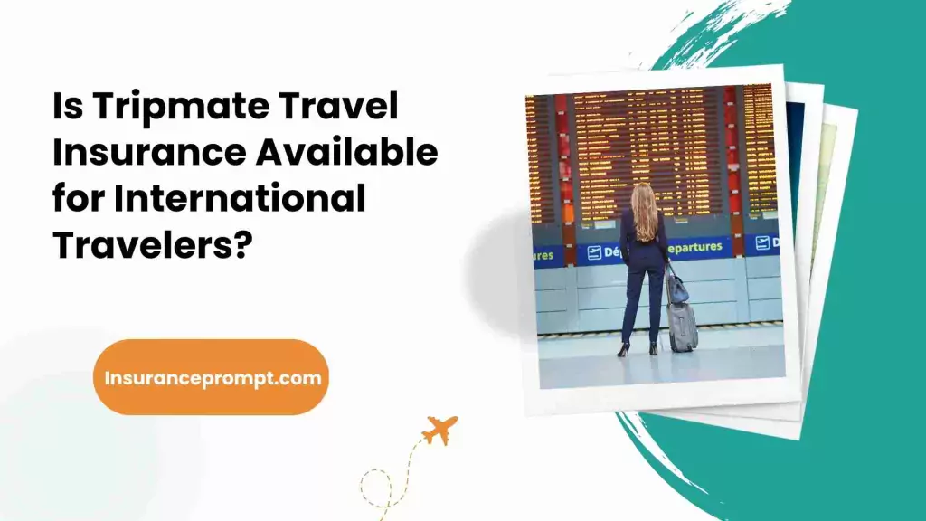 Is Tripmate Travel Insurance Available for International Travelers