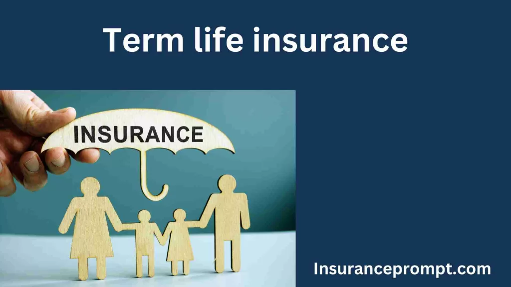 AGI life insurance-Term life insurance