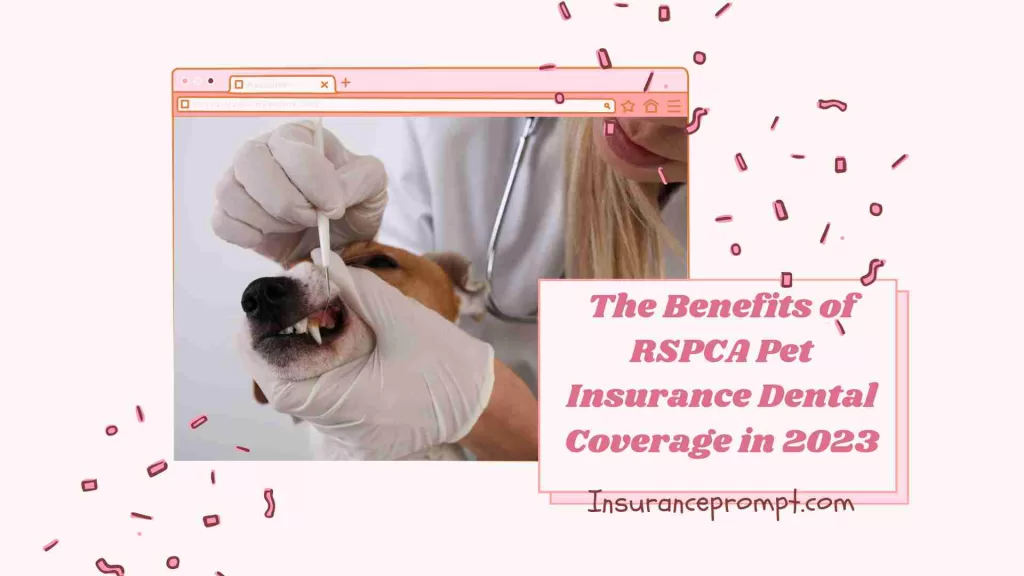The Benefits of RSPCA Pet Insurance Dental Coverage in 2023