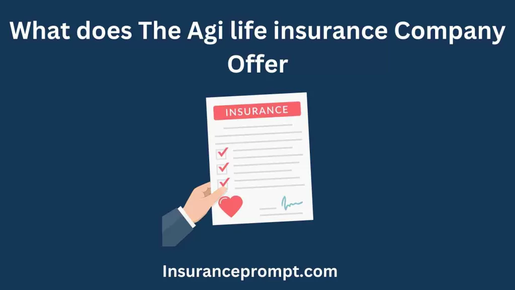 What does The Agi life insurance Company Offer
