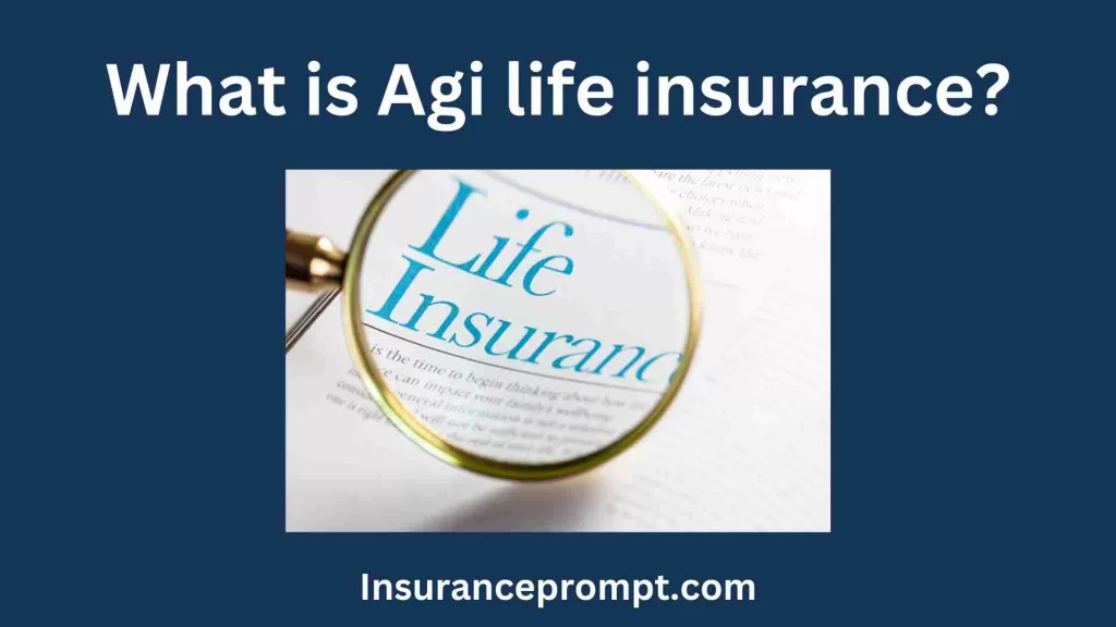 What is Agi life insurance?