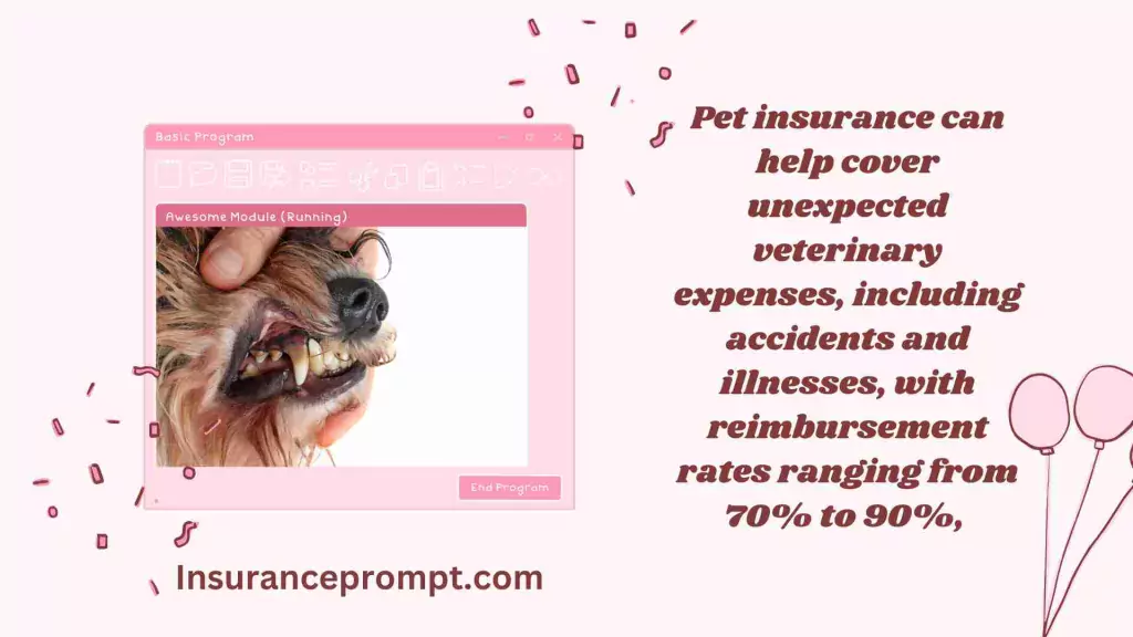  RSPCA Pet Insurance Dental-What is Pet Insurance