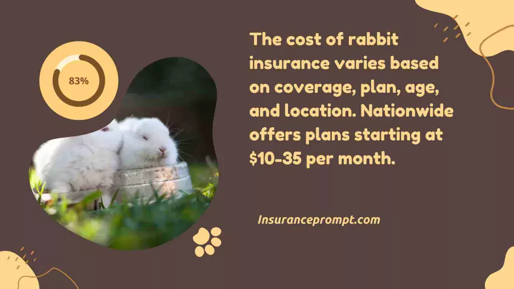 How Much Is The Insurance for Rabbits