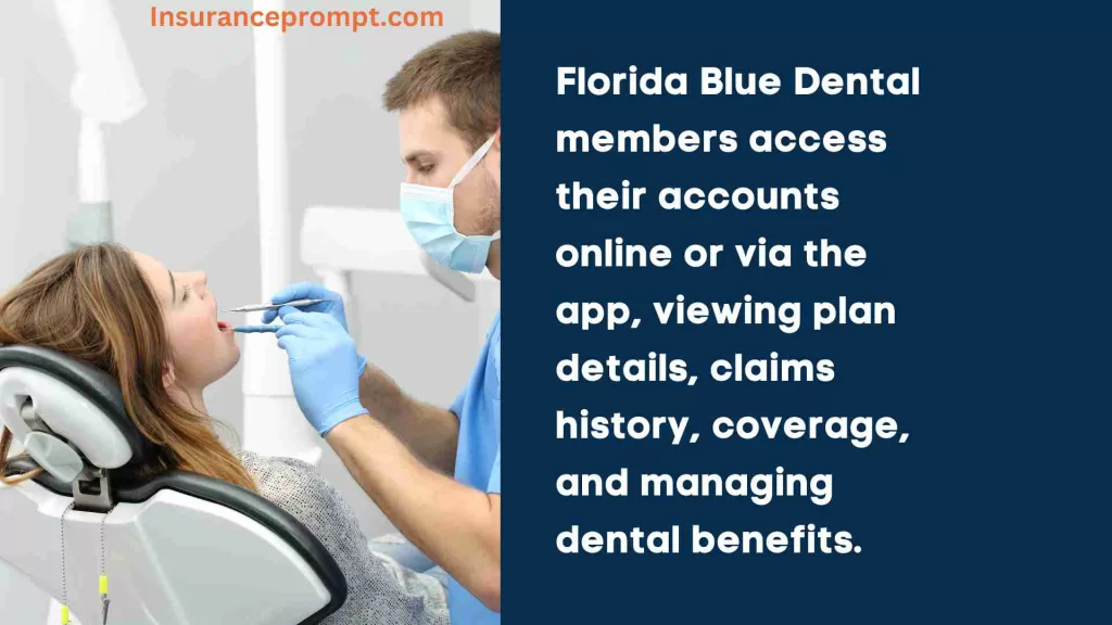 How can members access their Florida Blue Dental account, and what information can they view