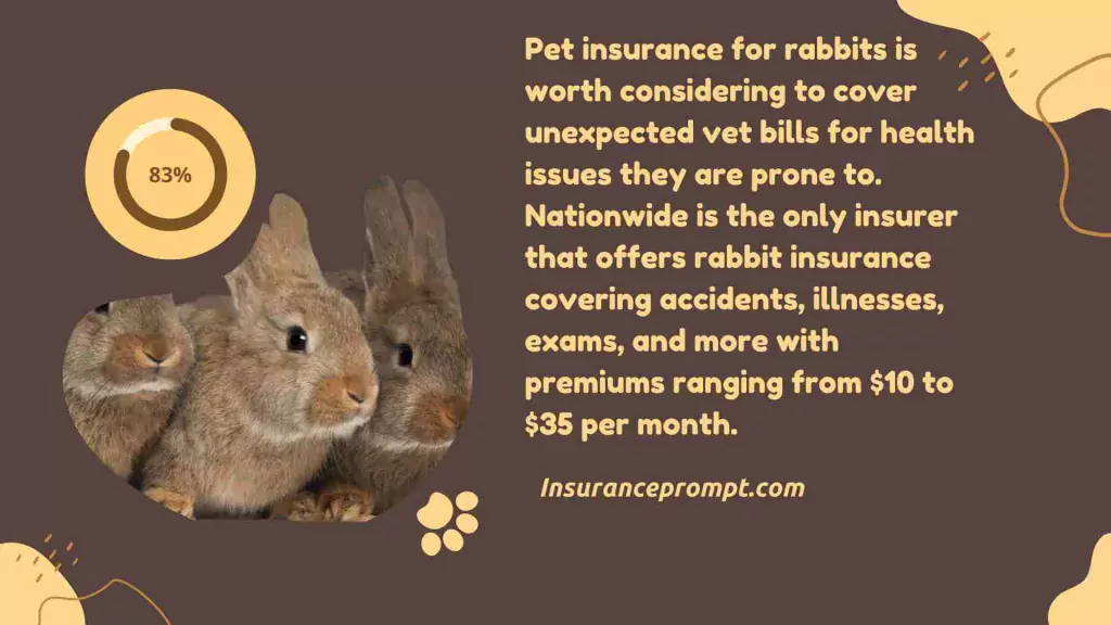 Is pet insurance for rabbits worth it
