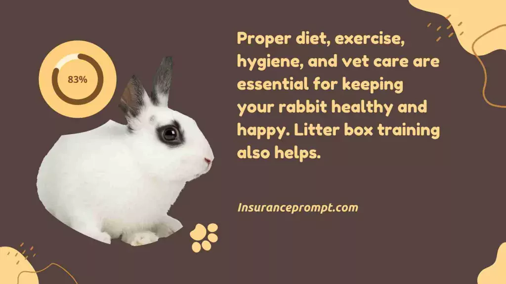 Tips for keeping your rabbit healthy