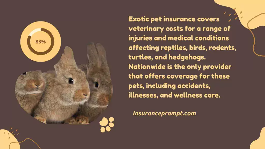 What Does Exotic Pet Insurance Cover
