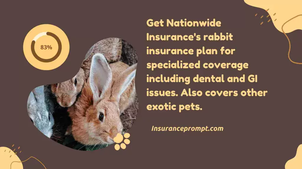 What does our pet insurance for rabbits include