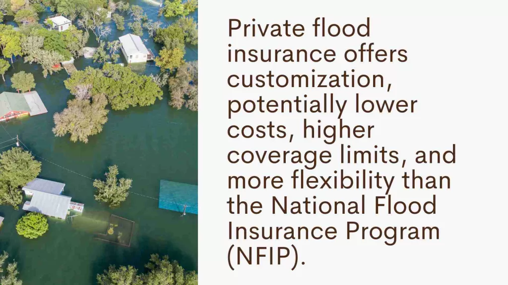 Why Should You Choose Private Flood Insurance Over the NFIP